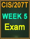 CIS/207 wk 5 - WileyPLUS Weekly Exam